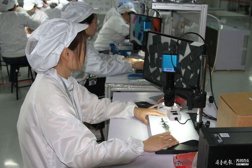 沖刺年度目標(biāo),海富電子年底還將產(chǎn)百萬(wàn)條傳輸線