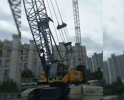 合肥履帶吊出租服務(wù) 安徽利茂現(xiàn)貨租賃與專業(yè)安裝